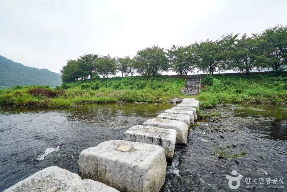 경남_함안_칠원천 벚꽃길 (4)