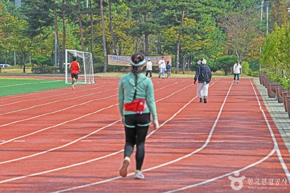 중구_하늘체육공원 (4)