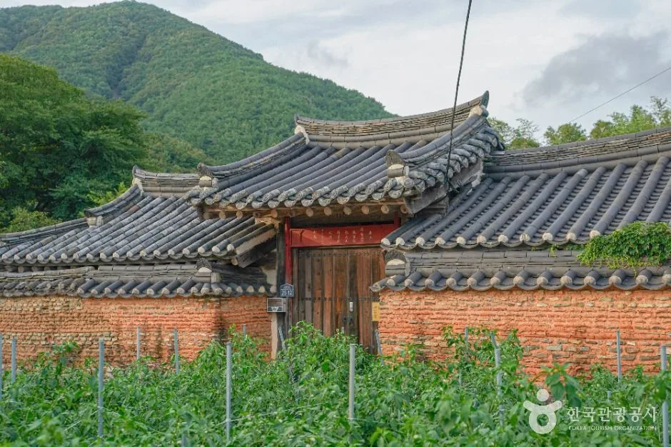 고성_청광새들녘마을 (1)