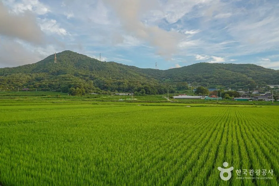 고성_청광새들녘마을 (5)