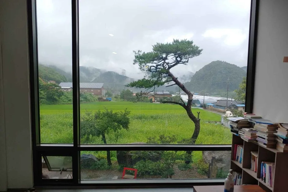 금산지구별그림책마을(11)