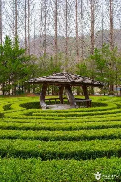 금산지구별그림책마을(7)
