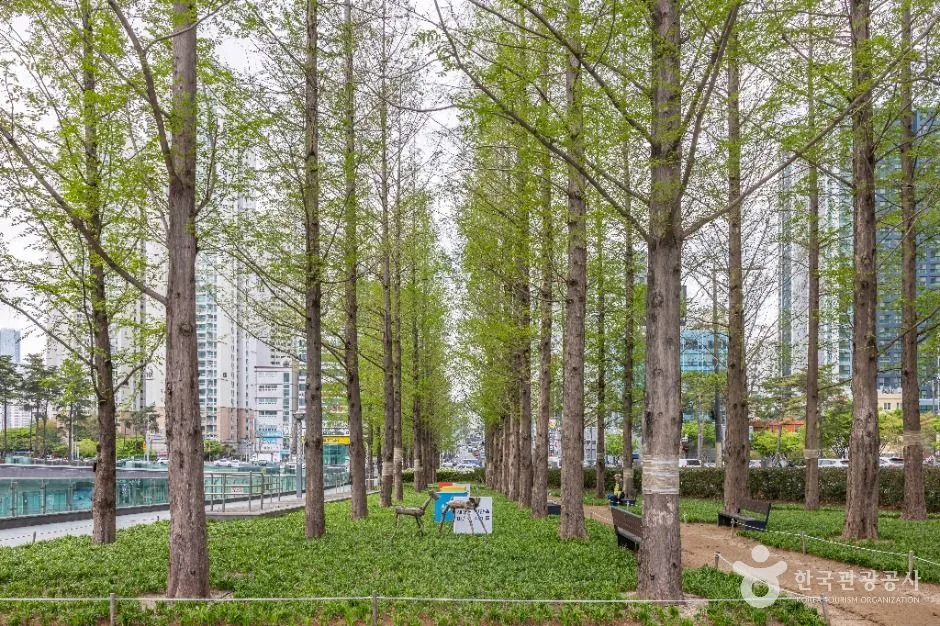 부산_송상현광장 (7)