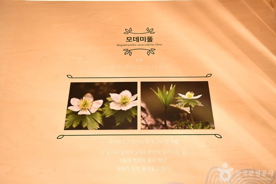 전남_구례_구례군농업기술센터식물표본전시관 (29)