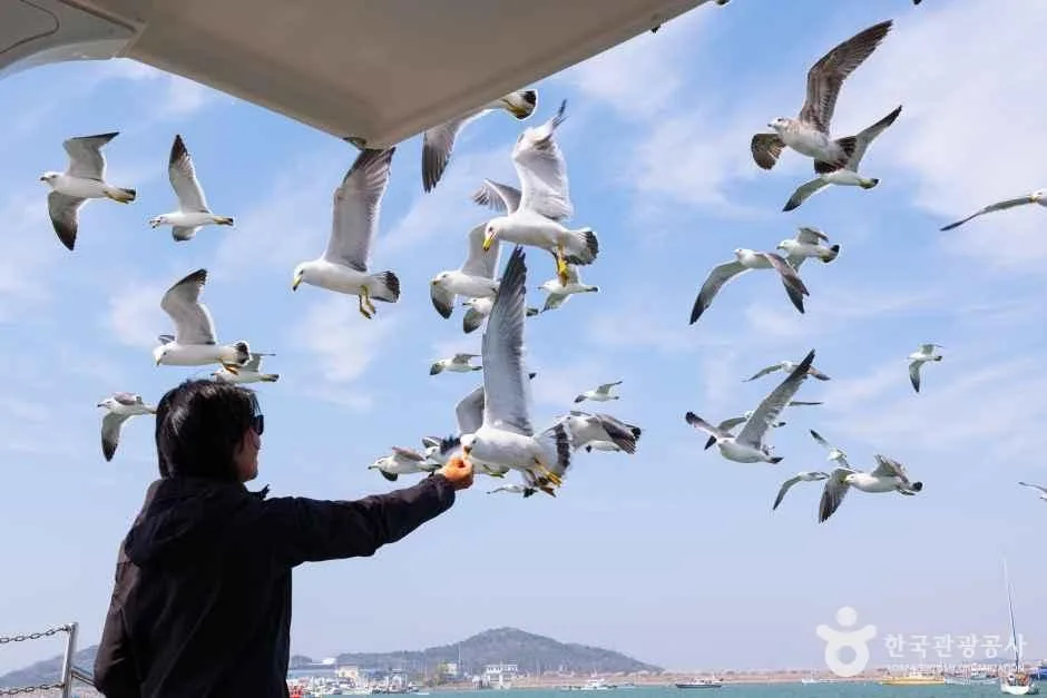 화성_전곡항 (10)