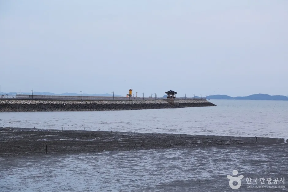 궁평리 해수욕장 (4)