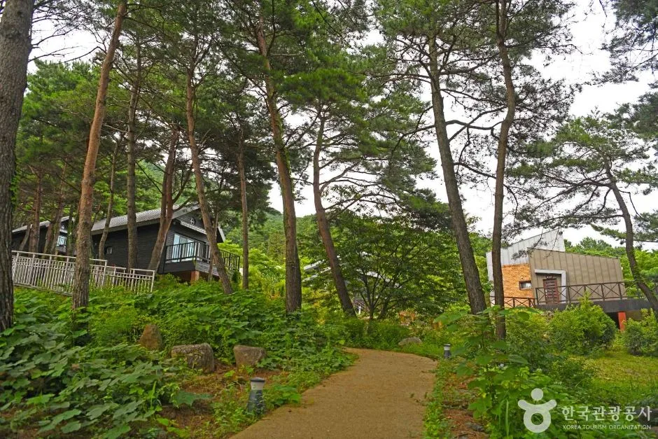 구례_야생화테마랜드 (5)