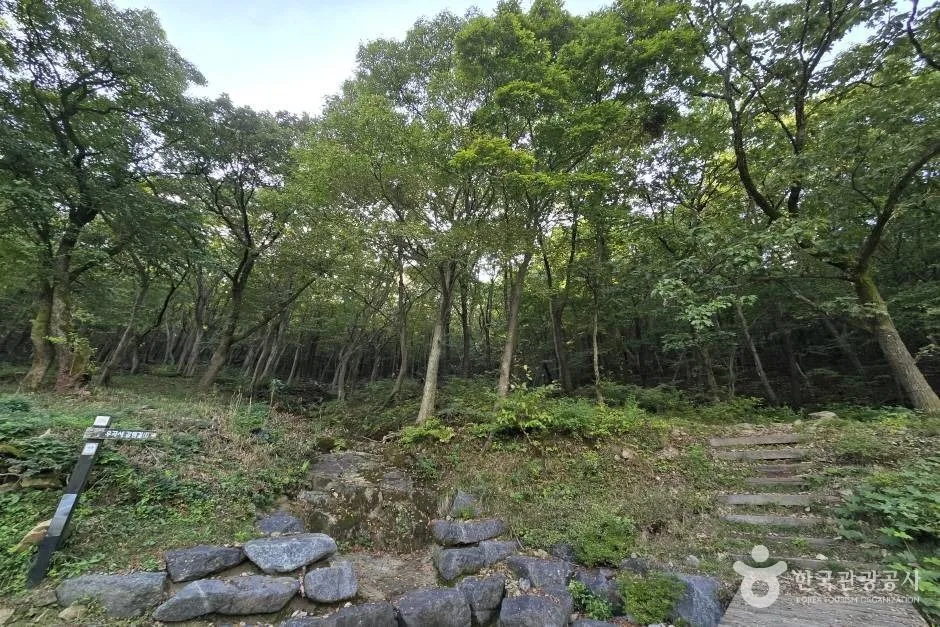 창원 진례산성_e (14)
