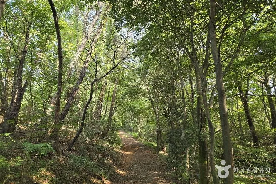 창원 진례산성_e (5)