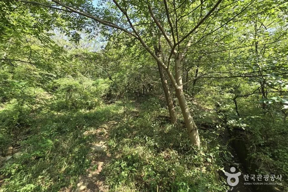 창원 진례산성_e (10)