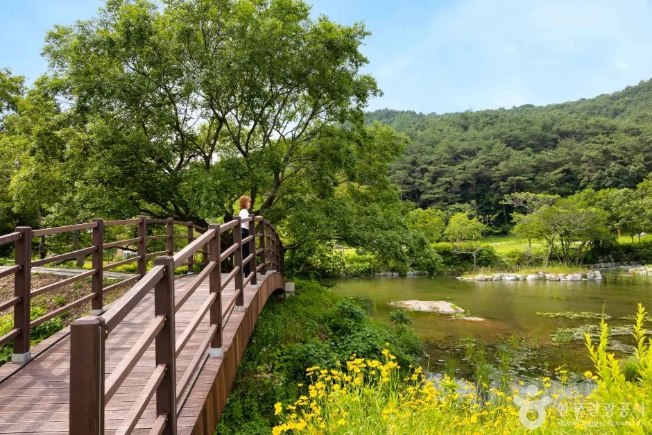 고창_고창 운곡람사르습지 (3)
