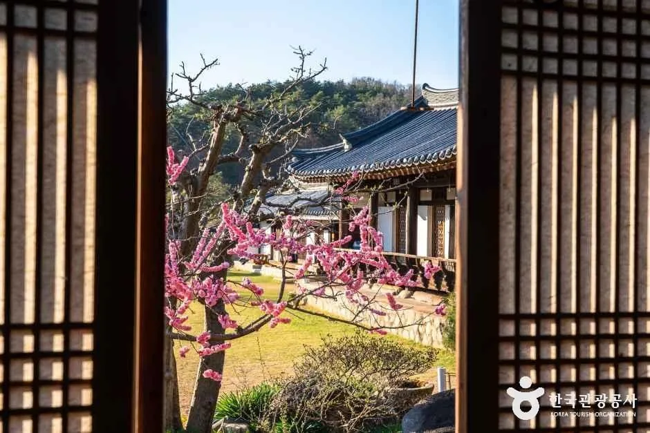 안동_의성김씨 학봉종택 (6)