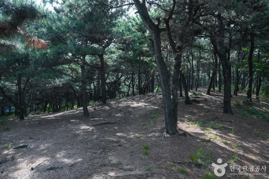 영신공원17