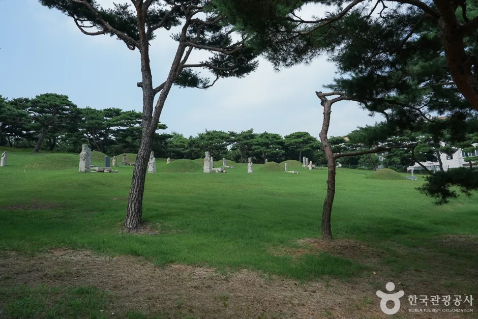 영신공원06