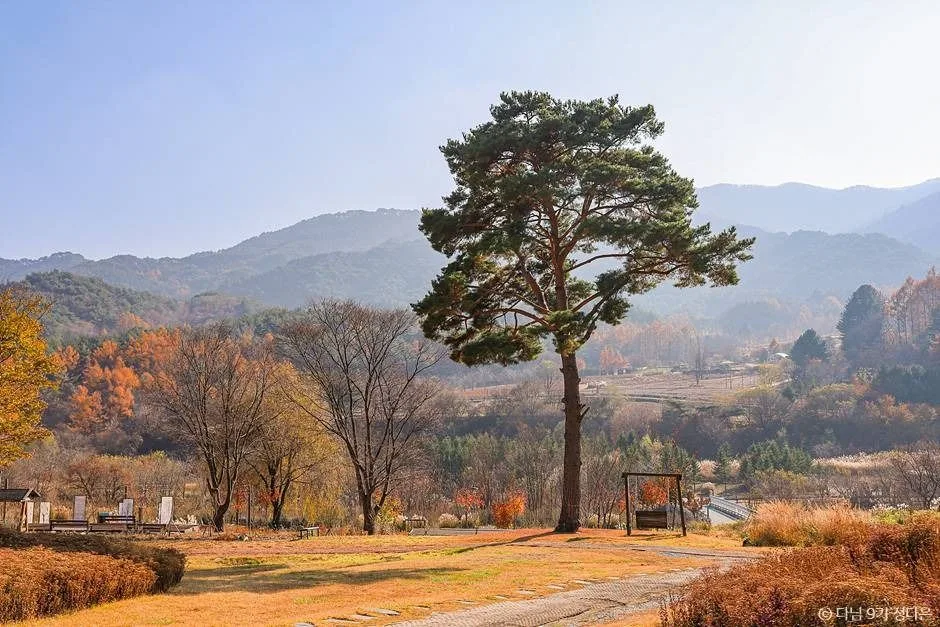 백두대간의 정기가 흐르는 봉화, 색다른 매력을 찾는 여행_경북_봉화_국립백두대간수목원_2.jpg