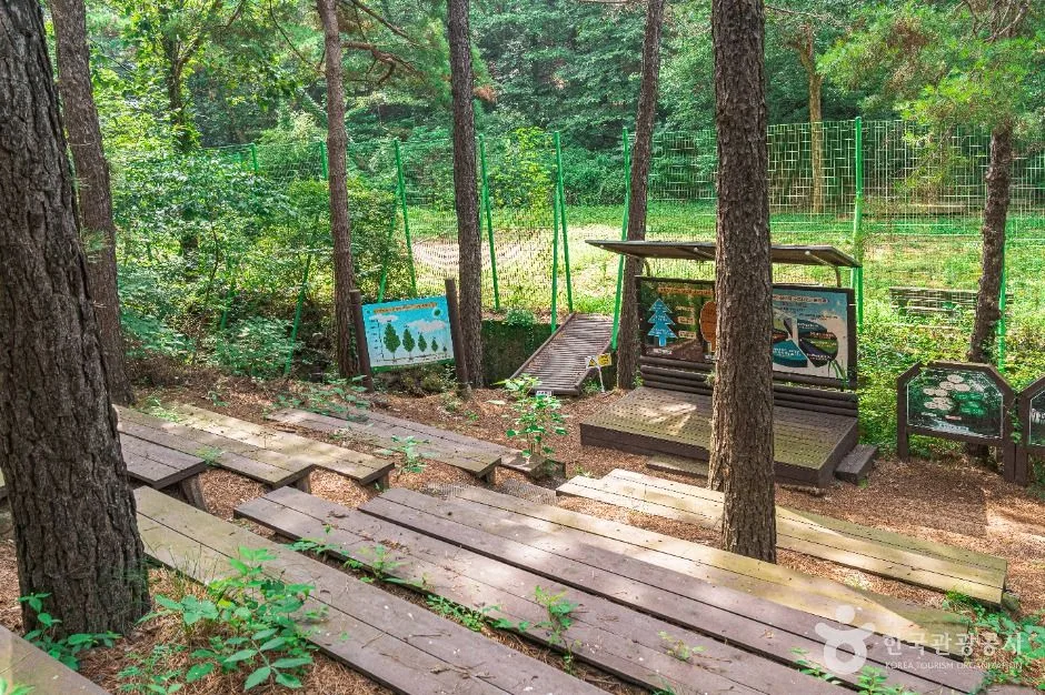 김포_문수산산림욕장 (6)