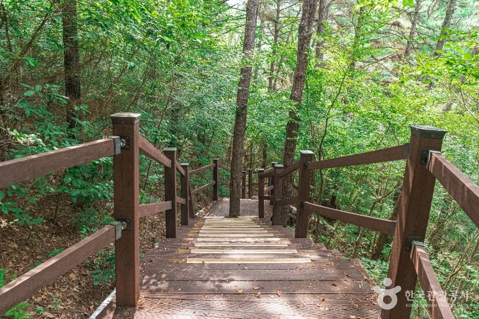 김포_문수산산림욕장 (5)