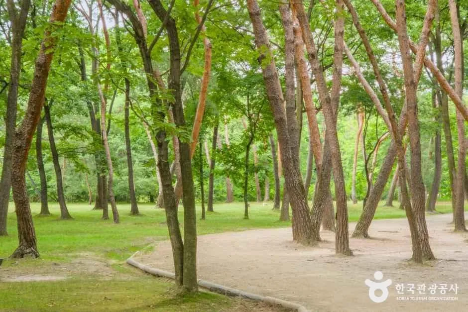 경기_화성_융릉과건릉_외부_05.jpg