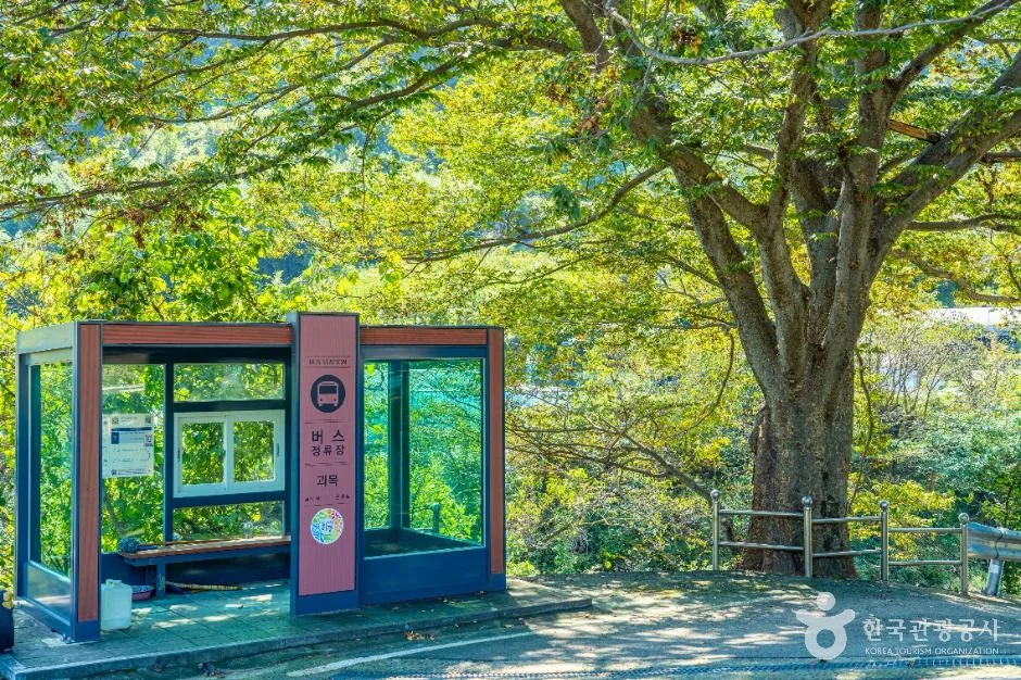 하동_괴목마을 (7)