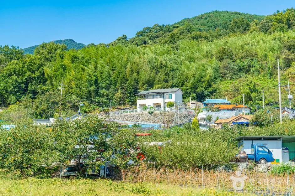 하동_괴목마을 (5)