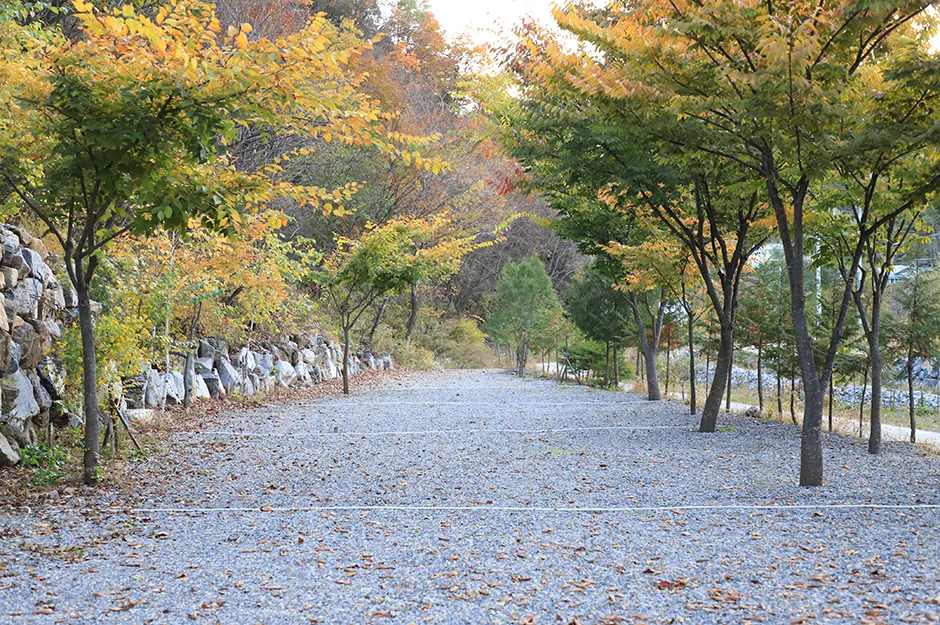 아빠가만든캠핑장_전경