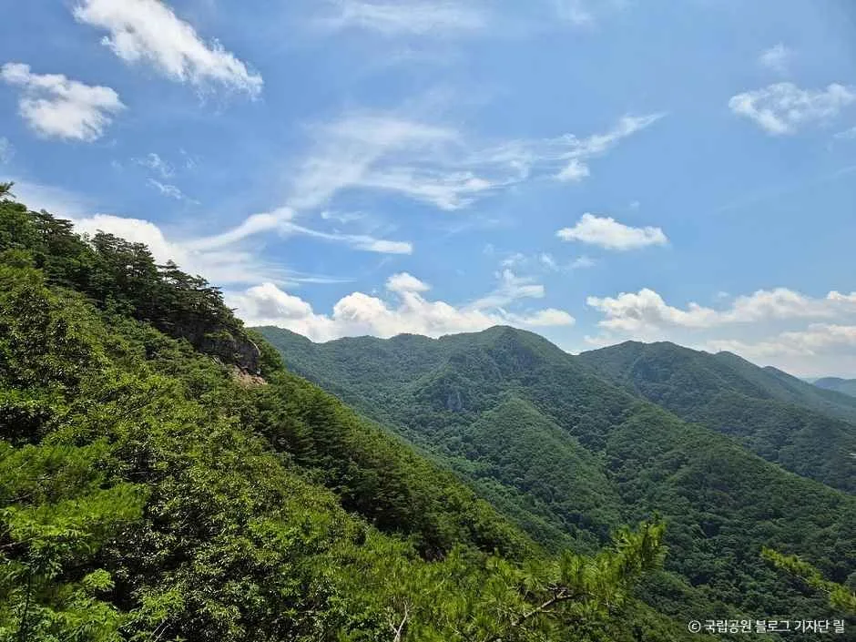 단양_금수산 (6).jpg