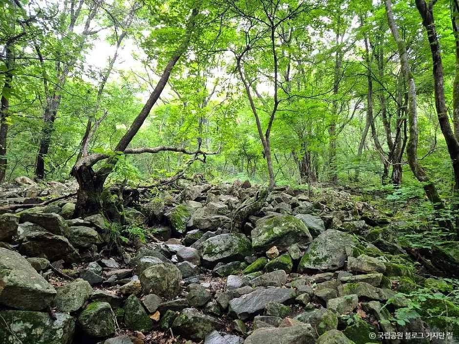 단양_금수산 (1).jpg