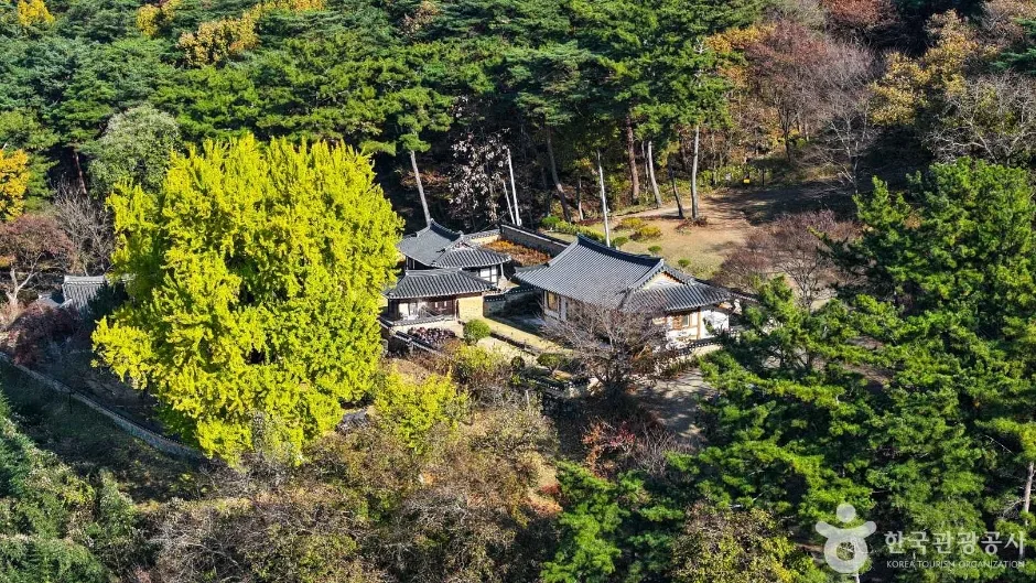 밀양 금시당