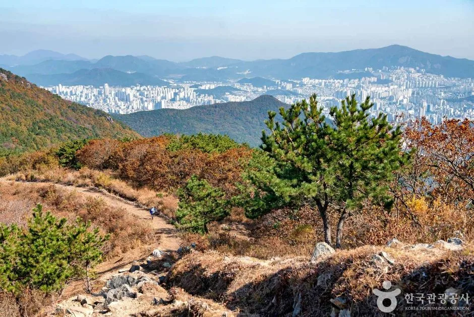 백양산 (2020)