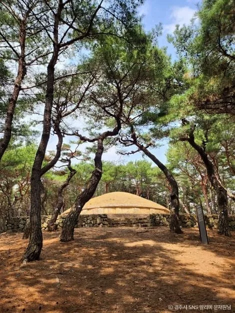 경주_경주 진덕여왕릉 (2)