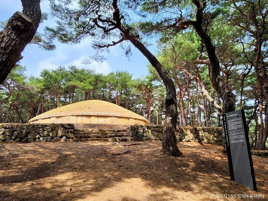 경주_경주 진덕여왕릉 (1)