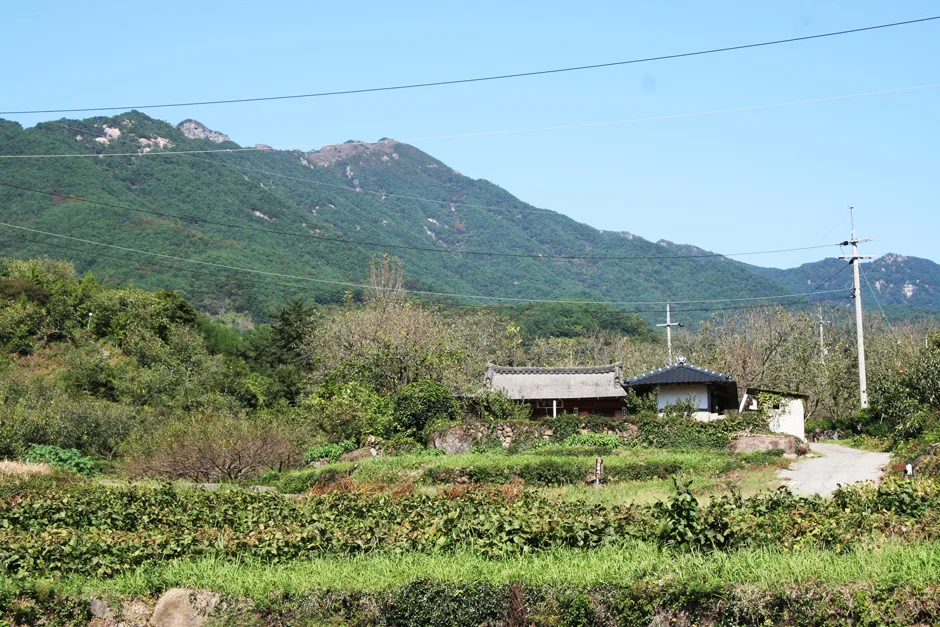 경남_하동군_대촌마을 (4).jpg