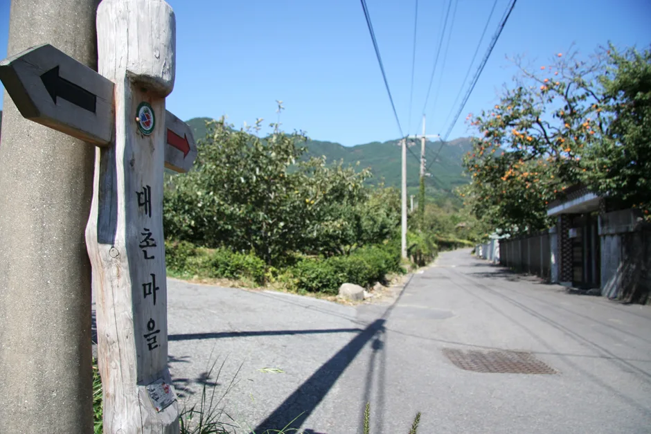 경남_하동군_대촌마을 (2).jpg