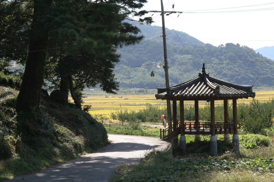 경남_하동군_대촌마을 (3).jpg