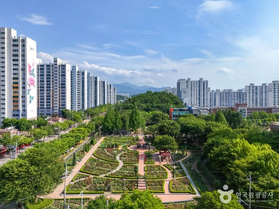 대구_이곡장미공원 (1)