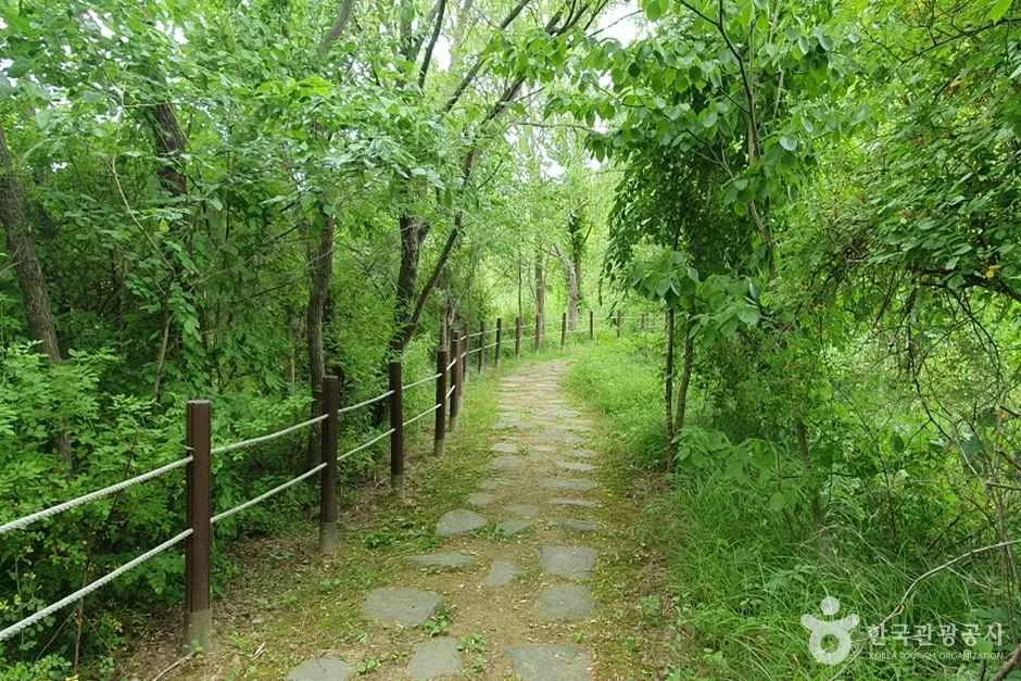 수풀로 운심리 (1)