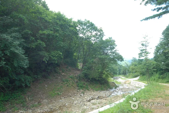 주천강휴양림_03