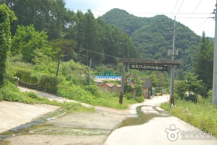 주천강강변자연휴양림_25