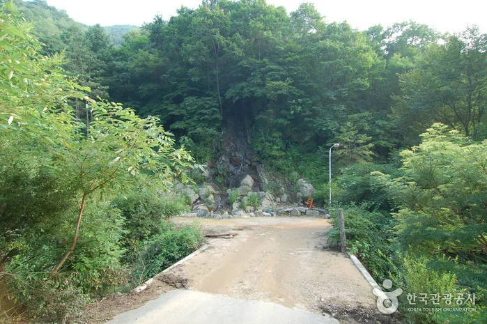 주천강강변자연휴양림_14
