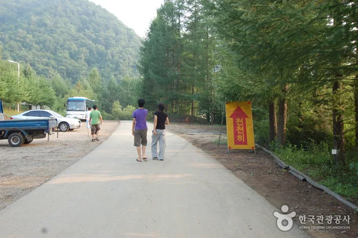 주천강강변자연휴양림_21