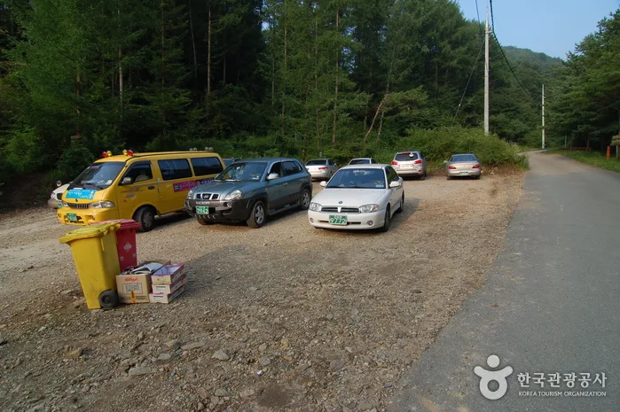 주천강강변자연휴양림_10