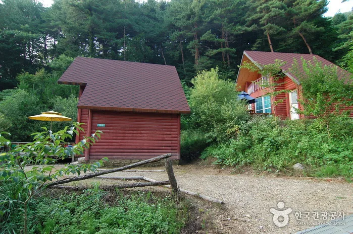 주천강강변자연휴양림_03