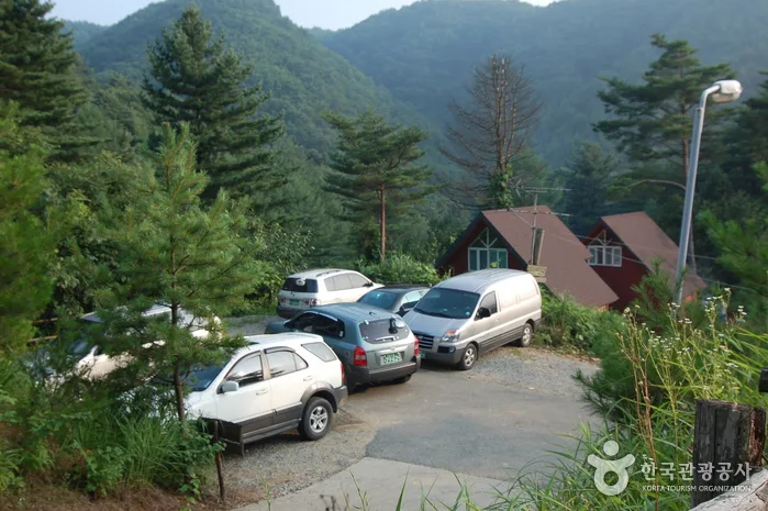주천강강변자연휴양림_18