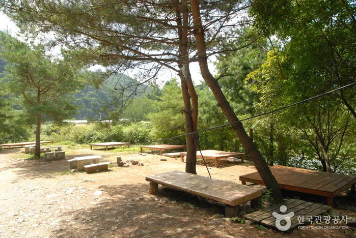 주천강휴양림_07