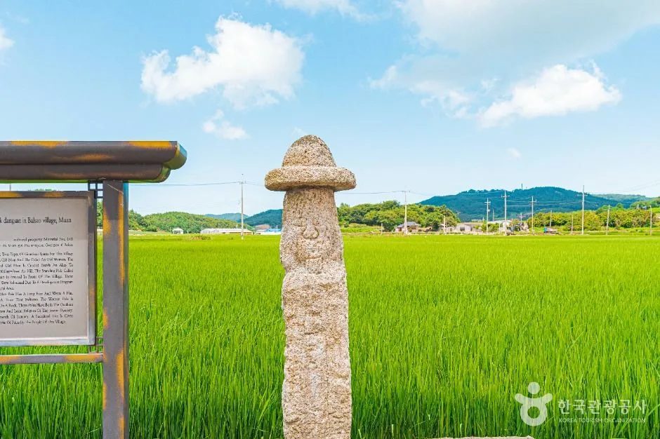 무안_무안 발산마을미륵당산 (4)