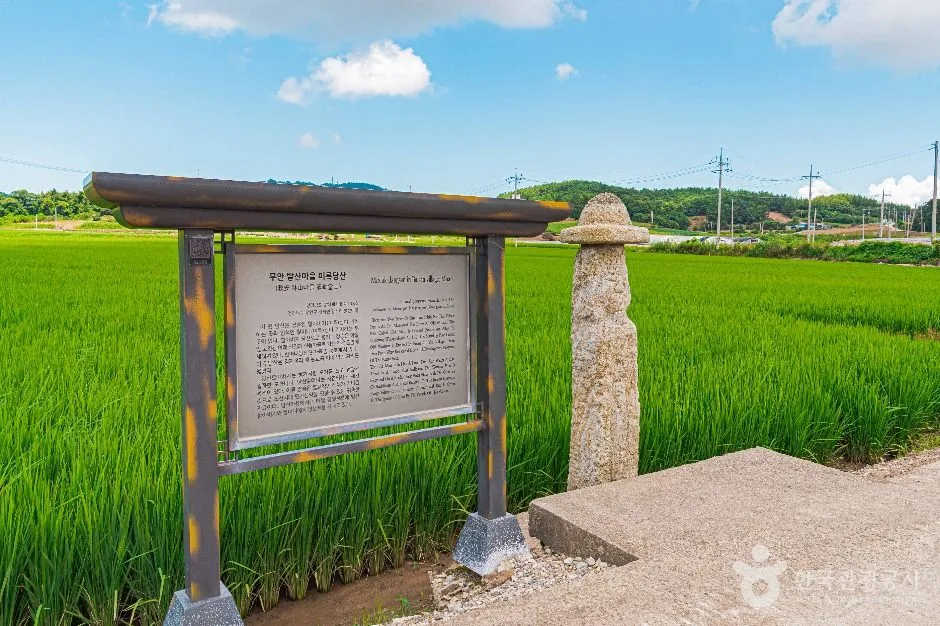 무안_무안 발산마을미륵당산 (3)