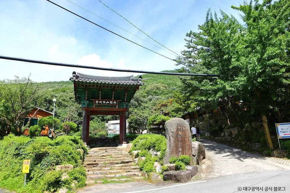 대구_비슬산자연휴양림 (2)
