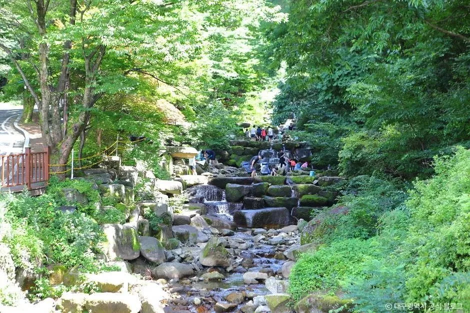 대구_비슬산자연휴양림 (1)