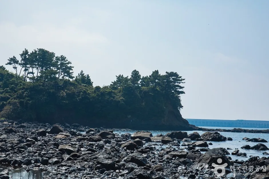 서건도(13)