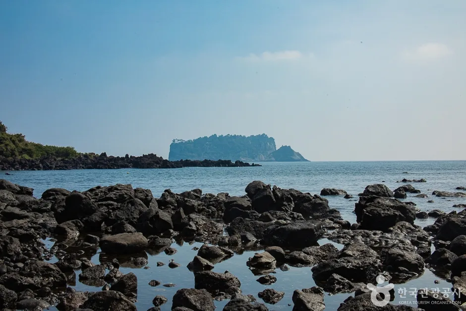 서건도(15)